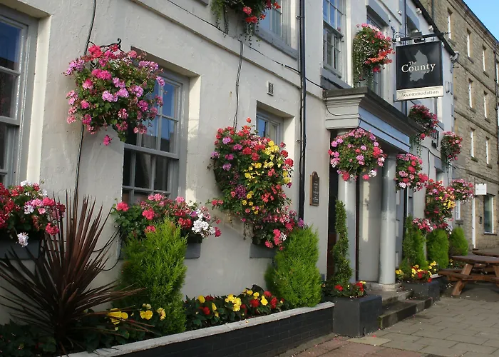 B&B only: The County Hotel